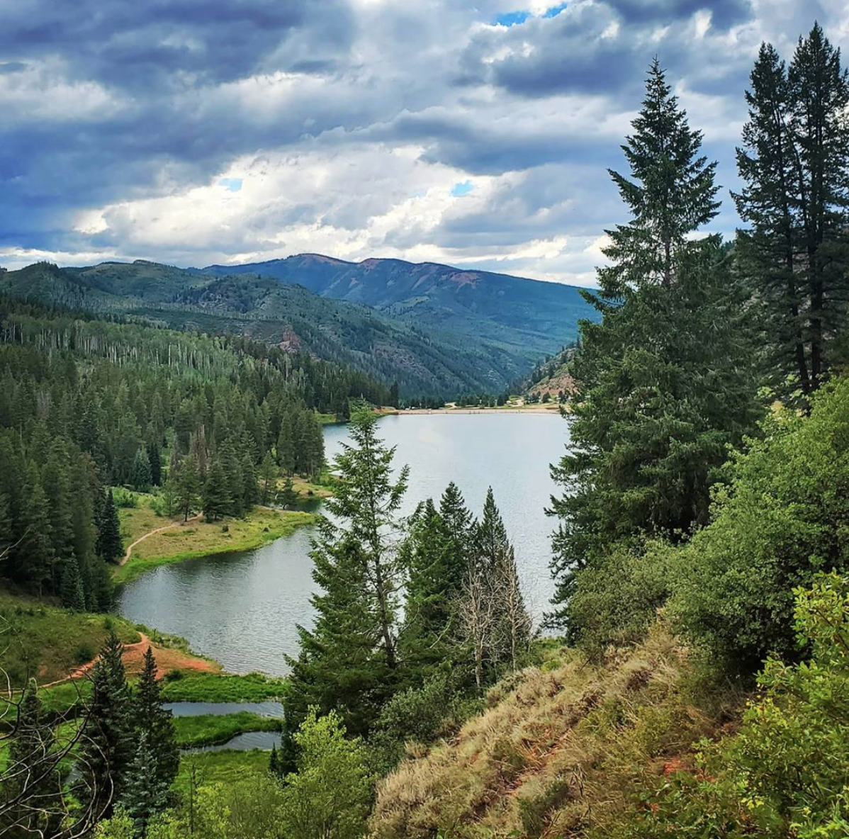 Aspen Trees and mountains located in Sylvan Lake State Park in Eagle Colorado